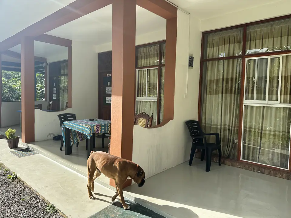 A dog outside the neighbouring private-room building