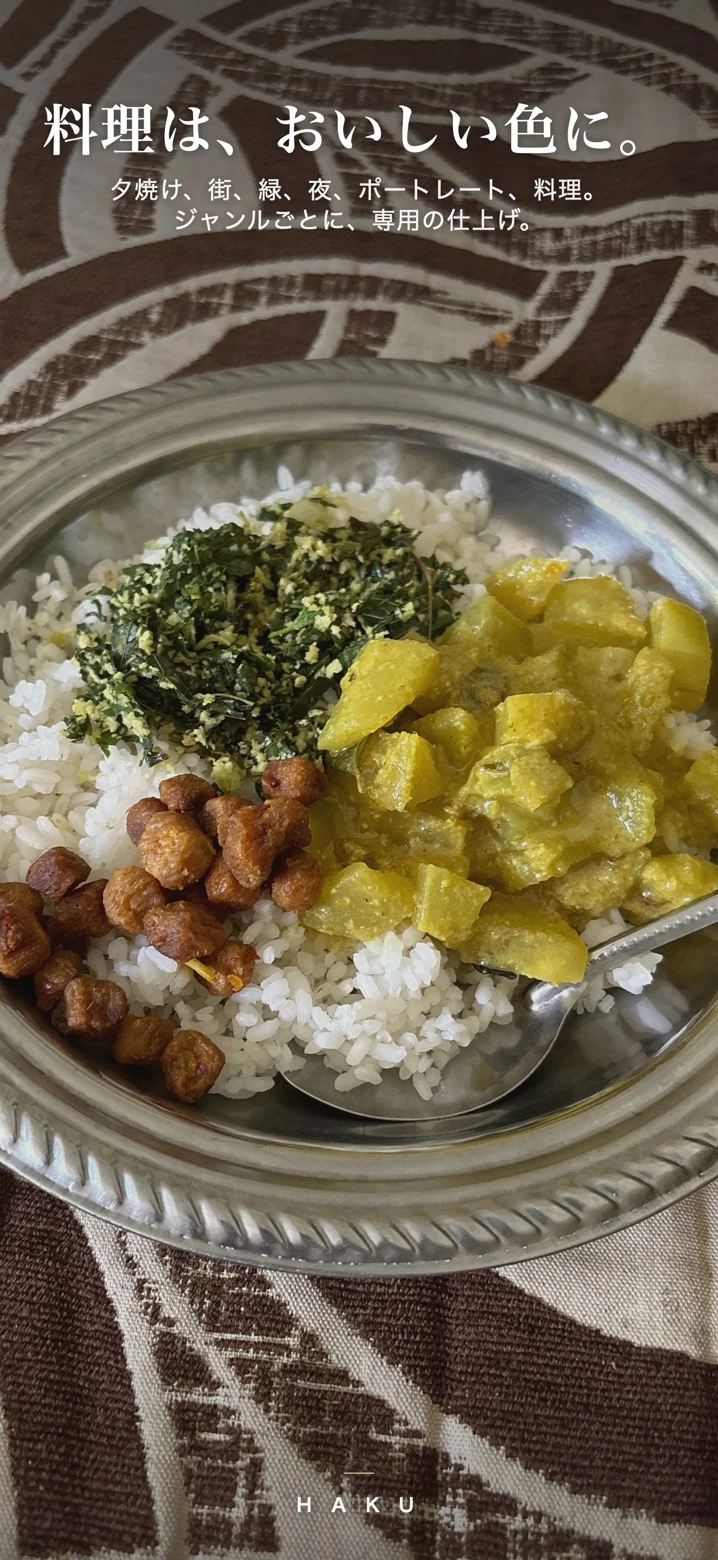 スリランカ料理を自然な色で仕上げたHAKUの実作品
